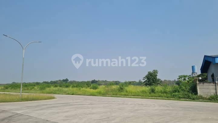 Saripakan Industrial Land 3000 m Road Frontage Wide in Ciruas Serang