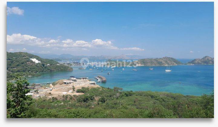 Tanah Bentuk Kotak Sudah Diterasering Dekat Pantai Di Labuan Bajo 1