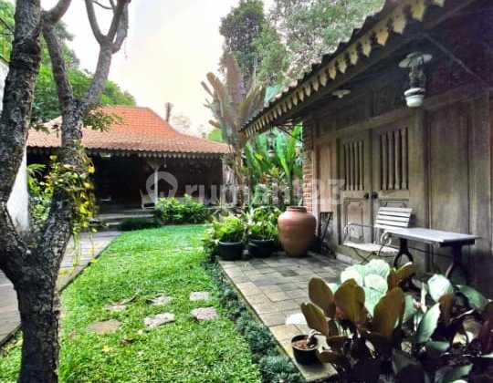 Modern House with Spacious Yard and Garden in Cluster Sector 9