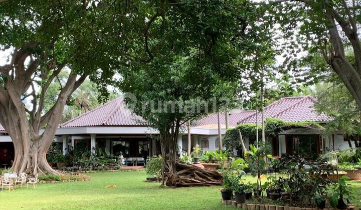 Tanah Sangat Luas Ada Bangunan Rumah Dan Kolam Renang Di Cilandak 2