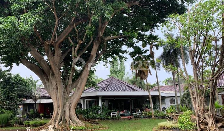 Tanah Sangat Luas Ada Bangunan Rumah Dan Kolam Renang Di Cilandak 1
