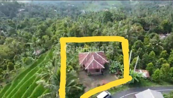 Jual Cepat Tanah 7,25 Are Ukuran Bagus di Buleleng, Bali 2