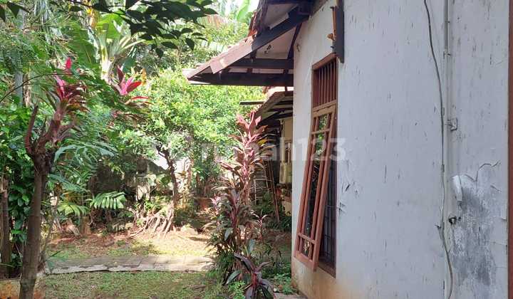 Jual Cepat Rumah Lama Halaman Luas Nego Sampai Deal di Ps Minggu 2