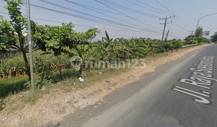 Large 8715m2 strategic land on Kendal Pantura Road. Large 8715m2 strategic land on Kendal Pantura Road.