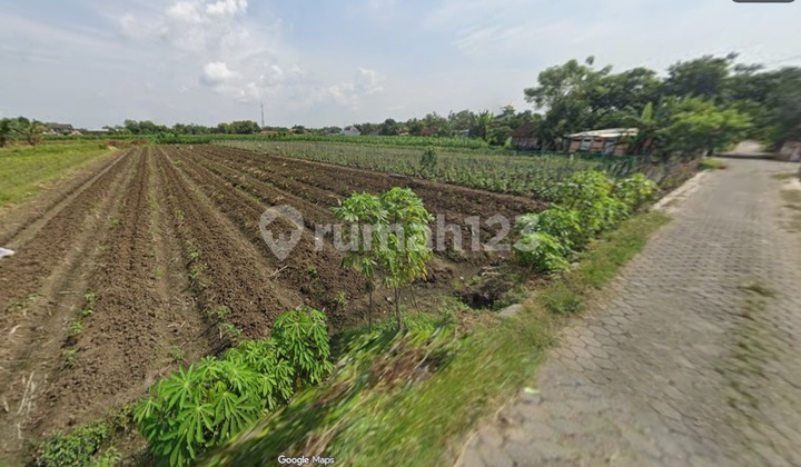 Sell fast cheap rice field land karangturi street gemuh KENDAL Sell fast cheap rice field land karangturi street gemuh KENDAL