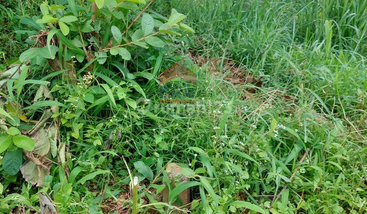 Dijual Tanah Kavling Pasirhalang Cisarua Lembang 2