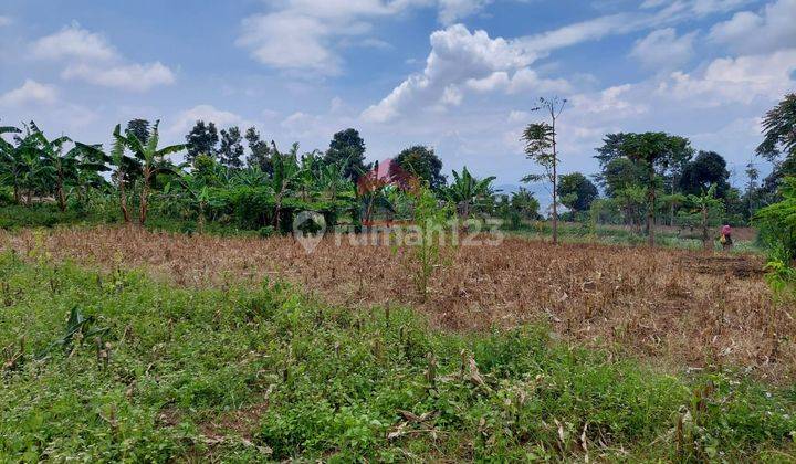 Dijual Tanah Kavling Pasirhalang Cisarua Lembang 4