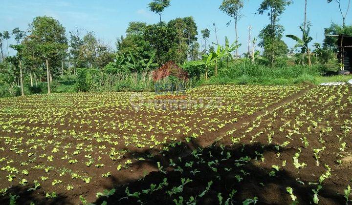 Dijual Tanah Kavling Pasirhalang Cisarua Lembang 5
