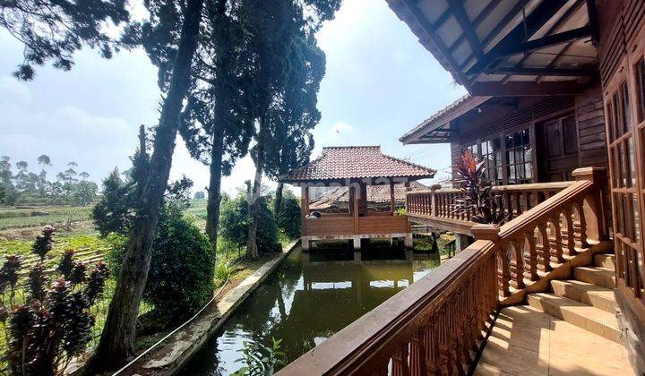 Cocok untuk investasi atau tempat private Villa mainroad Ciwidey 1