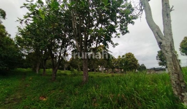 Dijual Tanah lokasi strategis pakuhaji Cisarua Bandung barat Dijual Tanah lokasi strategis pakuhaji Cisarua Bandung barat