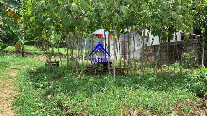 Dijual Tanah Luas Dan Strategis di Daerah Padasuka 1