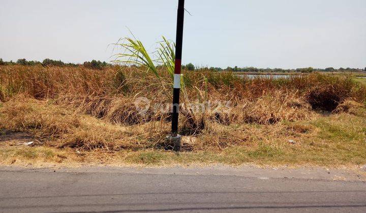 Tanah Murah Siap Bangun Di Raya Tambak Oso Waru Sidoarso 2