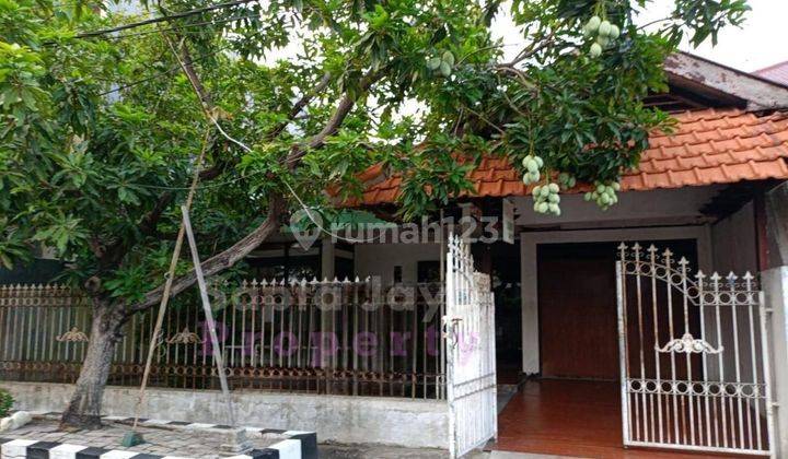 Jual Cepat Hanya Hitung Tanah Tapi Siap Huni
rumah Lokasi Rungkut 1