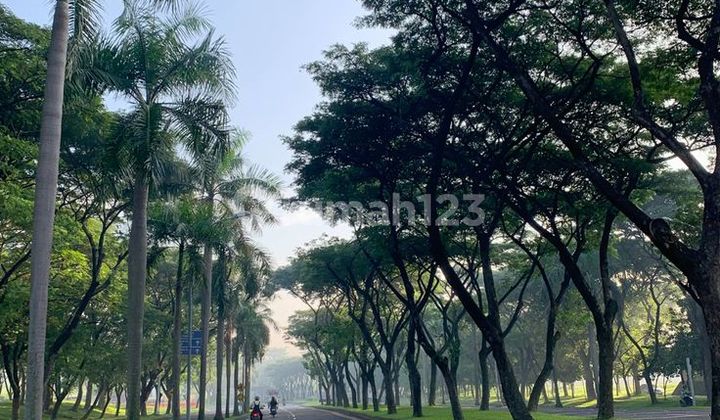 Land Ready to Build in Citraland International Village Surabaya Land Ready to Build in Citraland International Village Surabaya