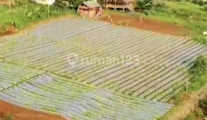 Tanah Cimahi Utara Sangat Cocok Untuk Dibangun Perumahan 1