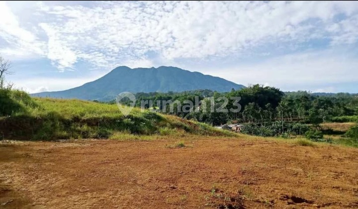 Jual Tanah Strategis Siap Bangun Di Cisarua Puncak Bogor Jual Tanah Strategis Siap Bangun Di Cisarua Puncak Bogor