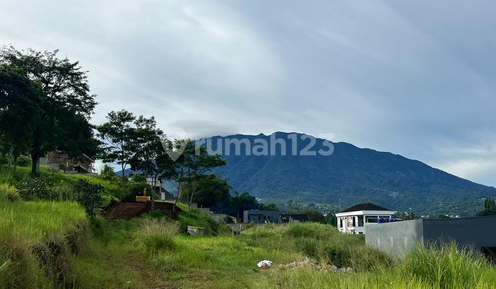 Jual Tanah Luas 510m2 Di Megamendung Puncak Bogor Jual Tanah Luas 510m2 Di Megamendung Puncak Bogor