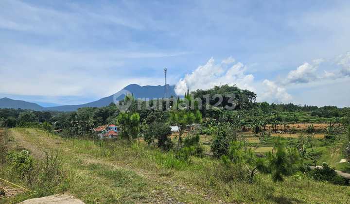 Dijual Tanah Luas 1000m2 Di Cisarua Puncak Bogor Dijual Tanah Luas 1000m2 Di Cisarua Puncak Bogor