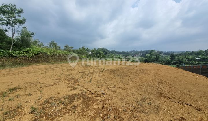 Miliki Tanah Hak Milik Dicisarua Puncak Bogor Miliki Tanah Hak Milik Dicisarua Puncak Bogor
