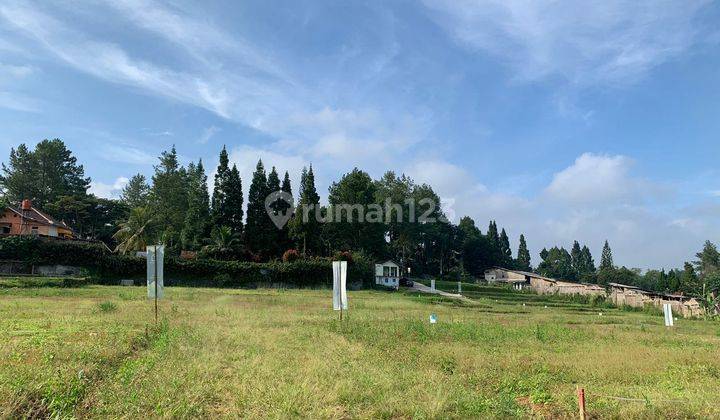 Jual tanah murah SHM di Sukamanah megamendung bogor
