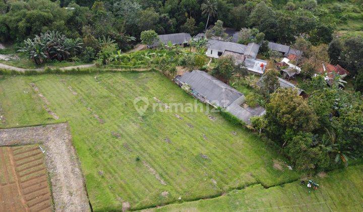 Jual tanah murah SHM di Sukamanah megamendung bogor