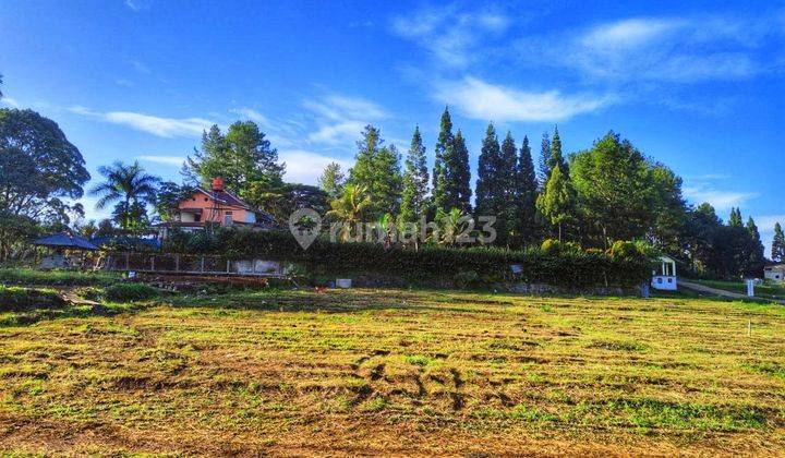 Jual tanah murah SHM di Sukamanah megamendung bogor