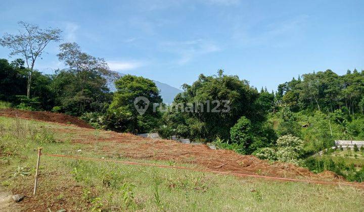 Tanah murah SHM di megamendung puncak bogor