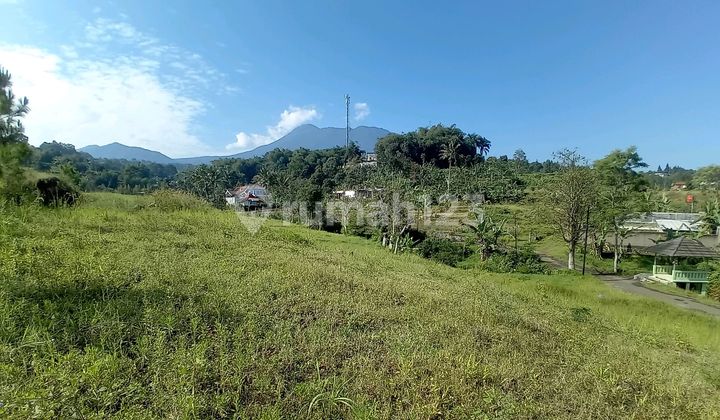 For Sale Strategic Land SHM in Cisarua Puncak Bogor For Sale Strategic Land SHM in Cisarua Puncak Bogor