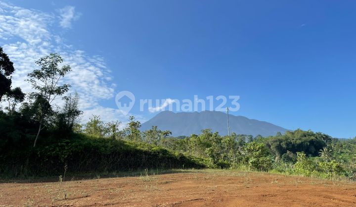 For Sale Land Area 2000m2 In Puncak Cisarua Bogor For Sale Land Area 2000m2 In Puncak Cisarua Bogor