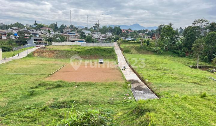 Dijual Tanah Shm Luas 1000m2 Di Megamendung Puncak Bogor Dijual Tanah Shm Luas 1000m2 Di Megamendung Puncak Bogor