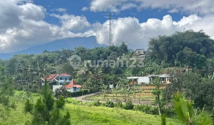 Dijual Tanah Luas 450m² Di Cisarua Puncak Bogor Dijual Tanah Luas 450m² Di Cisarua Puncak Bogor