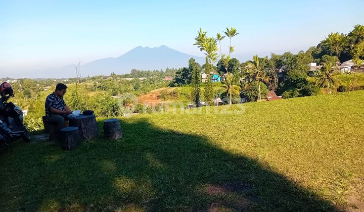 Jual Tanah Mewah Luas 2000m2 Dicisarua Puncak Bogor Jual Tanah Mewah Luas 2000m2 Dicisarua Puncak Bogor