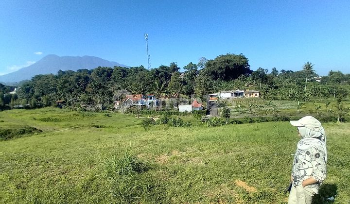 For Sale Strategic Land 1500m2 in Puncak Cisarua Bogor For Sale Strategic Land 1500m2 in Puncak Cisarua Bogor