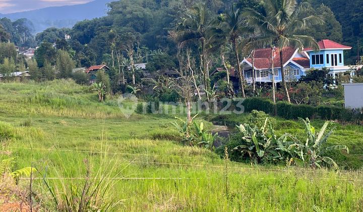 Di Jual Tanah Shm Dicisarua Puncak Bogor