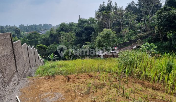 Dijual Tanah Luas 988m2 Di Cisarua Puncak Bogor