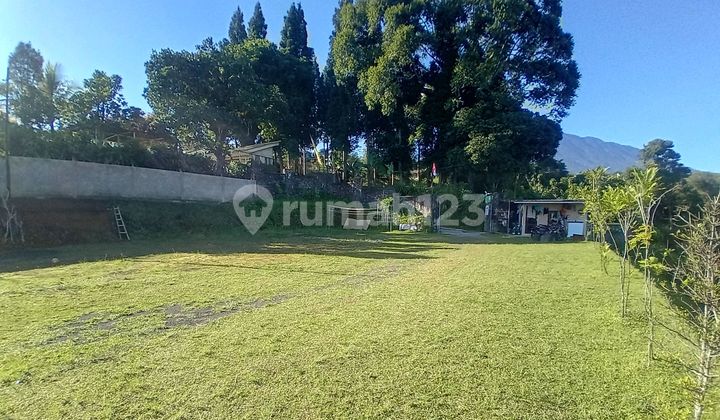 Jual Tanah Mewah Luas 2000m2 Dicisarua Puncak Bogor Jual Tanah Mewah Luas 2000m2 Dicisarua Puncak Bogor