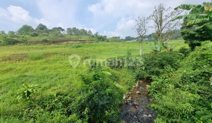 Miliki Tanah Impian Bapak/ibu Di Wisata Puncak Cisarua Bogor Miliki Tanah Impian Bapak/ibu Di Wisata Puncak Cisarua Bogor