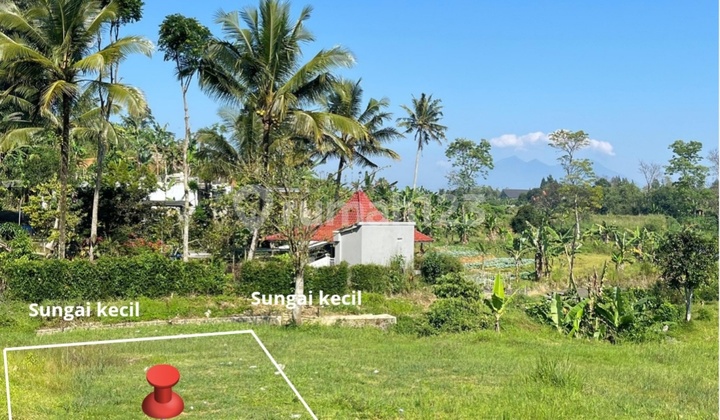 Dijual Tanah Luas 486M² di Cisarua Puncak Bogor Dijual Tanah Luas 486M² di Cisarua Puncak Bogor