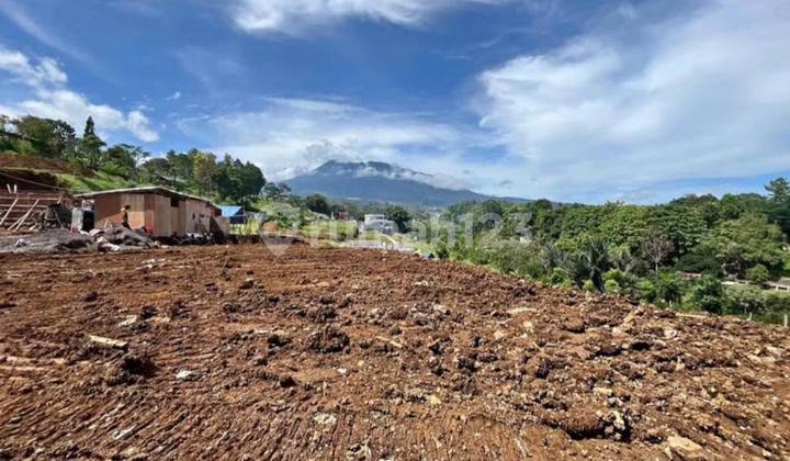 Dijual Tanah Shm Luas 300m2 Dimegamendungbogor Dijual Tanah Shm Luas 300m2 Dimegamendungbogor