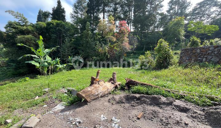 Dijual Tanah Shm Murah Dimegamendung Puncak Bogor Dijual Tanah Shm Murah Dimegamendung Puncak Bogor