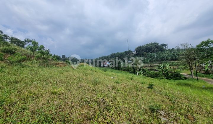 Miliki Tanah Impian Bapak/ibu Di Wisata Puncak Cisarua Bogor Miliki Tanah Impian Bapak/ibu Di Wisata Puncak Cisarua Bogor