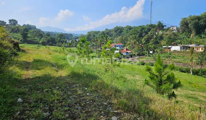 For Sale Freehold Land Ready to Build in Cisaru Puncak Bogor