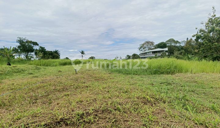 Land for Sale Ready to Build in Cisarua Puncak Bogor Land for Sale Ready to Build in Cisarua Puncak Bogor