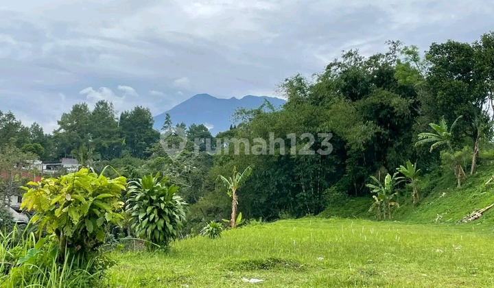 Jual Tanah Luas 1000m2 Di Megamendung Puncak Bogor Jual Tanah Luas 1000m2 Di Megamendung Puncak Bogor