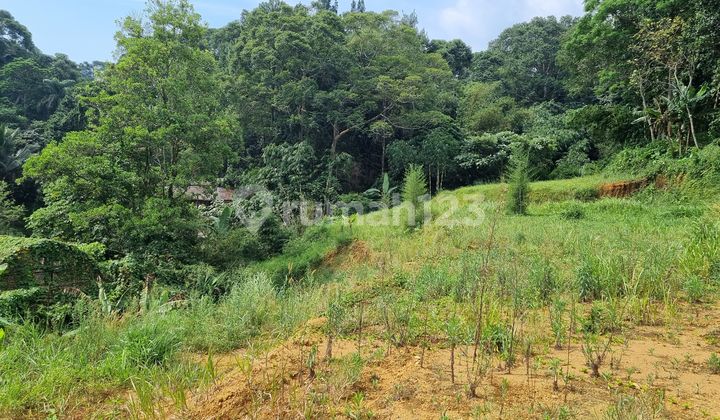 For Sale: Cheap Land Near Cisarua Puncak Bogor Tourist Area For Sale: Cheap Land Near Cisarua Puncak Bogor Tourist Area