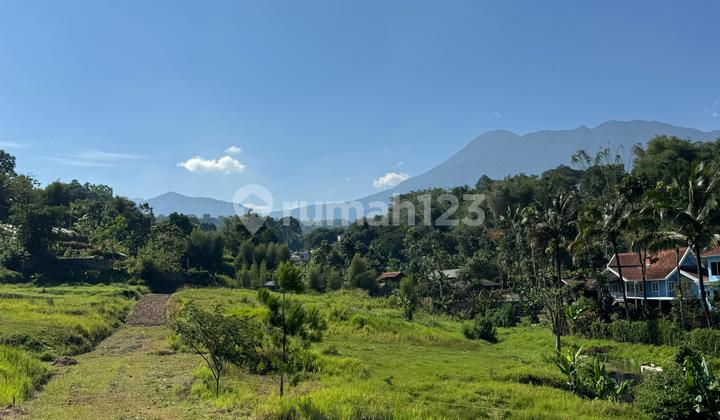 For Sale Land with SHM in Cisarua Puncak Bogor