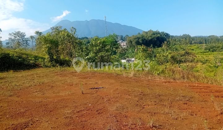 Dijual Cepat Tanah Hak Milik Dicisarua Puncak Bogor