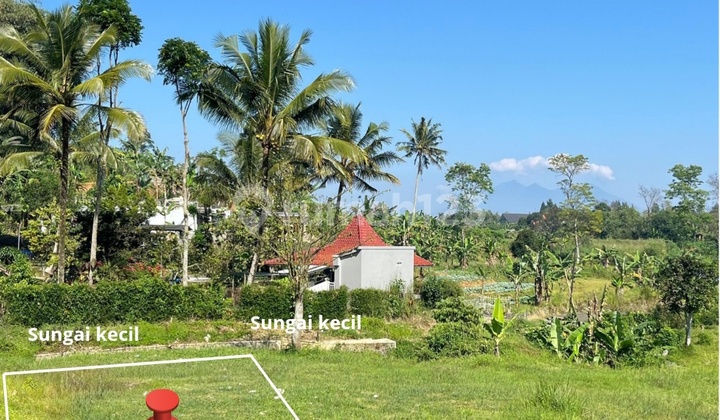 Dijual Tanah Shm Di Cisarua Puncak Bogor Dijual Tanah Shm Di Cisarua Puncak Bogor