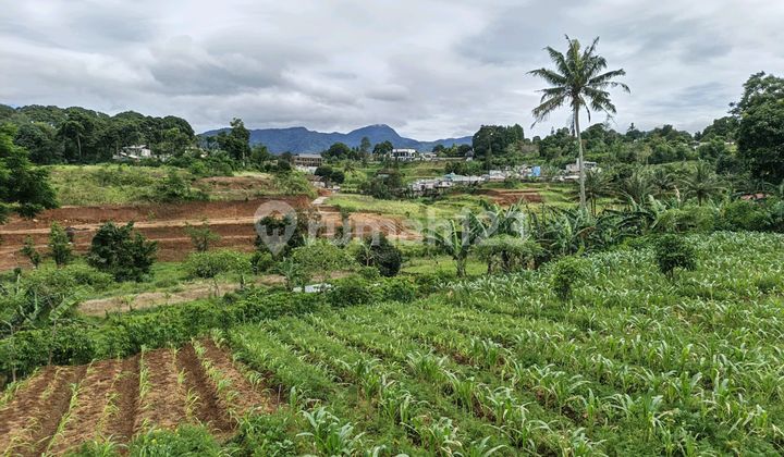 Jual Tanah Cocok untuk Tempat Ngadem Bersama Keluarga