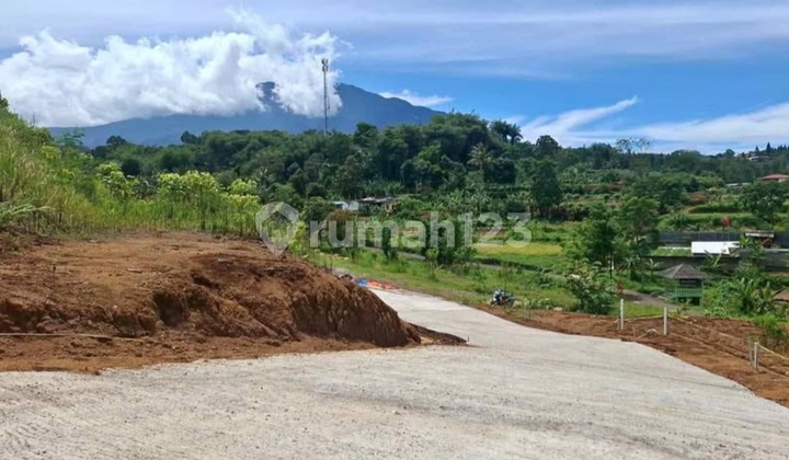 Dijual Tanah Pleksible Dicisarua Puncak Bogor
